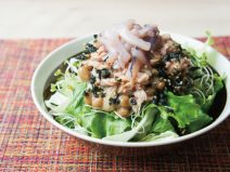 いかの塩辛わかめ納豆シーチキンサラダ