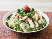 大根菜うめ納豆ささみブロッコリースプラウトサラダ