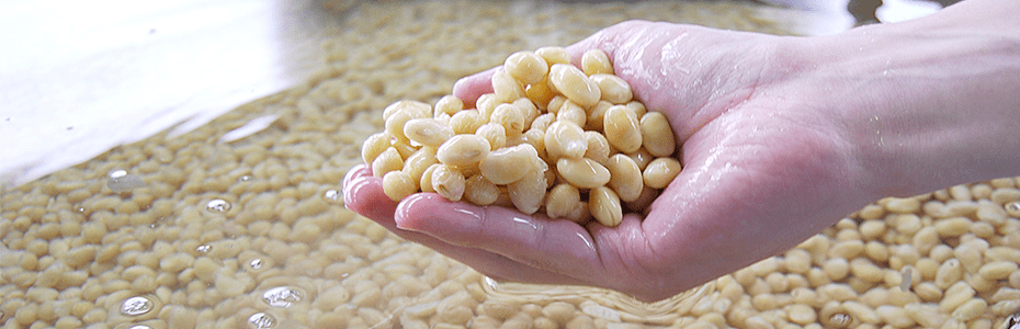 竹之下フーズのこだわり納豆は高級国産一等大粒大豆使用